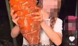 网红博主吃瓜鲨鱼,惊险瞬间引网友热议