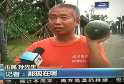 柳州吃瓜网热门事件新闻,最新热门事件盘点