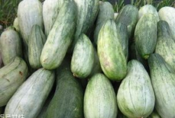 吃瓜网其他功能,一站式娱乐资讯平台，畅享海量精彩内容